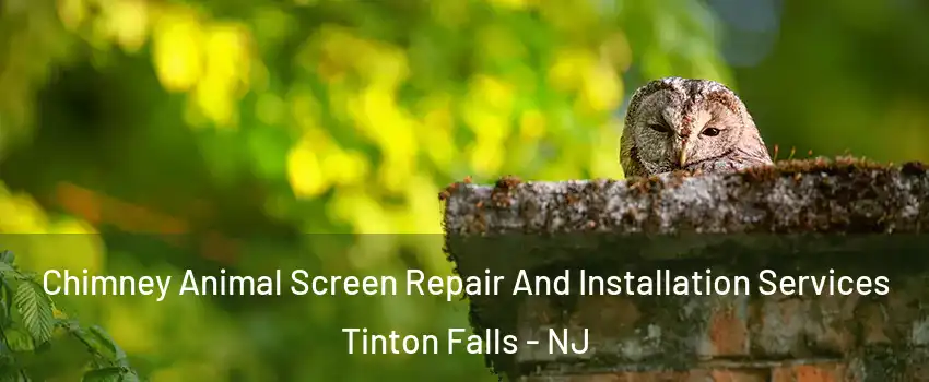  Chimney Animal Screen Repair And Installation Services Tinton Falls - NJ