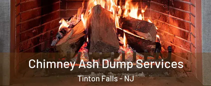  Chimney Ash Dump Services Tinton Falls - NJ