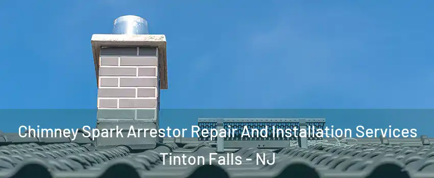  Chimney Spark Arrestor Repair And Installation Services Tinton Falls - NJ
