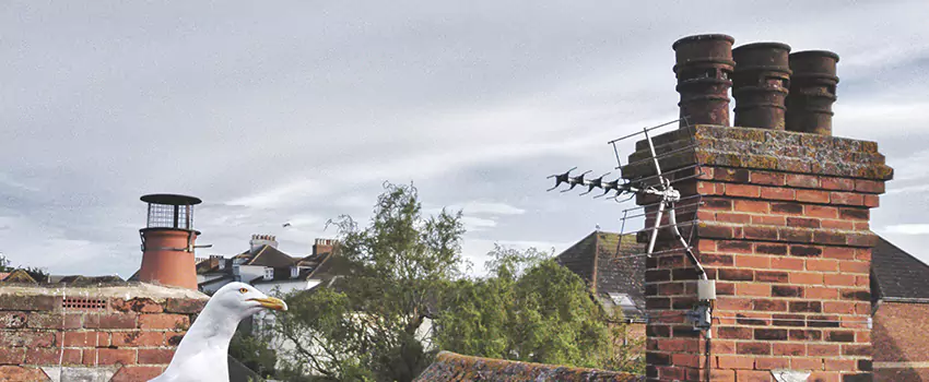 Chimney Cleaning And Restoration in Tinton Falls, New Jersey