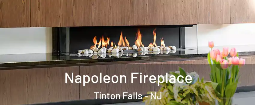 Napoleon Fireplace Tinton Falls - NJ